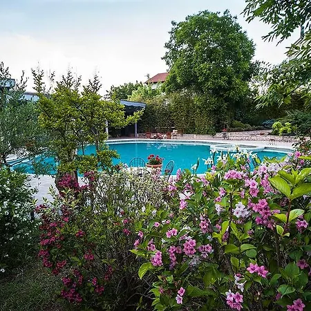 Отель La Primula